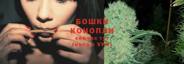гидра Зерноград