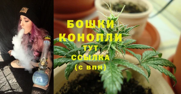 гидра Зерноград