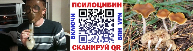 Купить закладки  Видное  Галлюциногенные грибы MAGIC MUSHROOMS 
